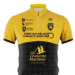 Group logo of Stade Rochelais Charente Maritime
